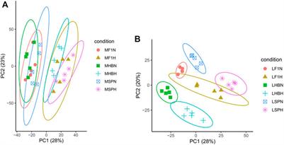 Transcriptome Analysis Reveals Molecular Underpinnings of Common Carp (Cyprinus carpio) Under Hypoxia Stress